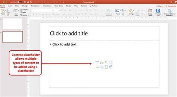 What are the 7 types of content you can add to a content placeholder?