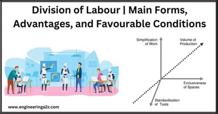What are the advantage of division of labor?