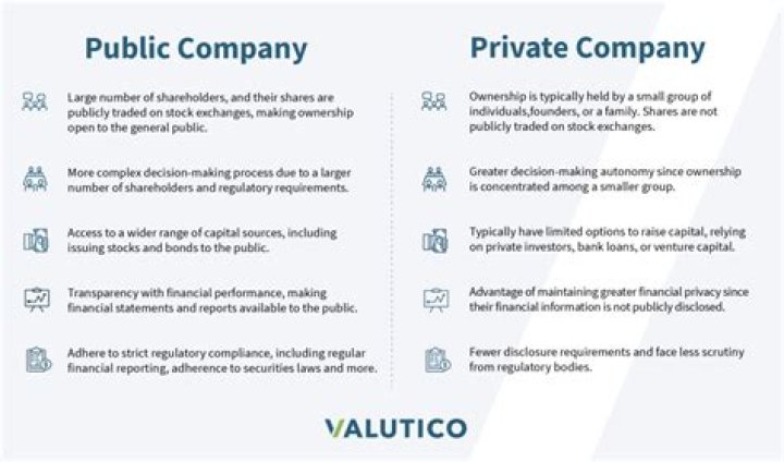 What are the advantage of private company?