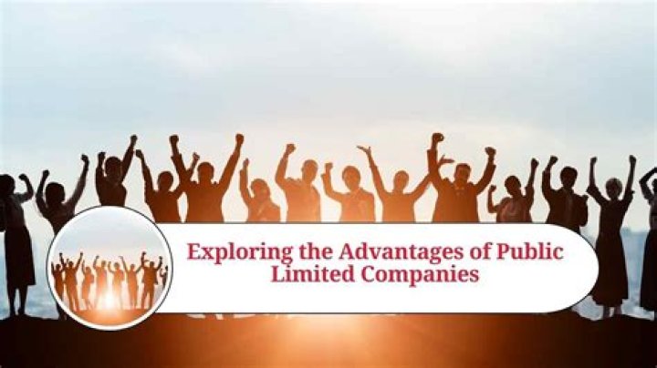 What are the advantage of public limited company?