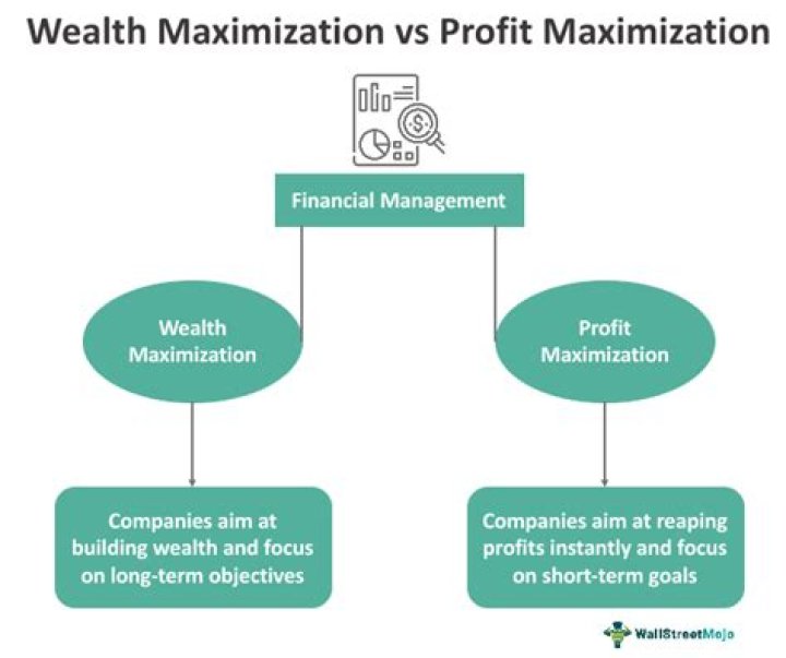 What are the advantages and disadvantages of wealth maximization?