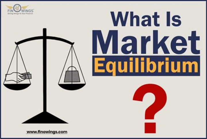What are the assumptions of market equilibrium?