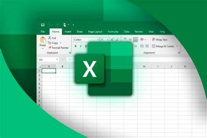 What are the basic of data in Excel?