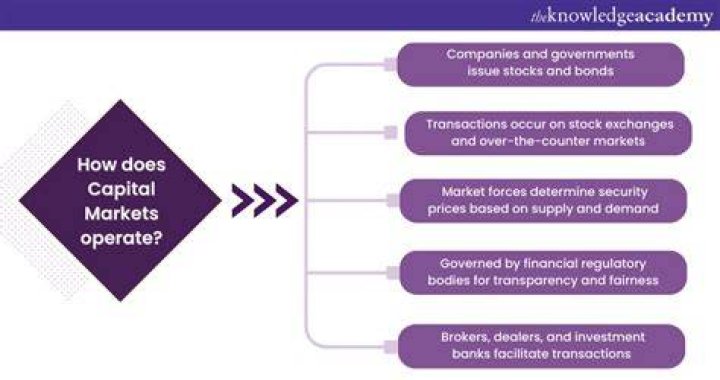 What are the benefits of international capital markets?