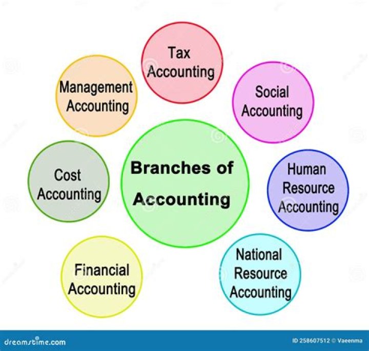 What are the branches of accounting and its meaning?