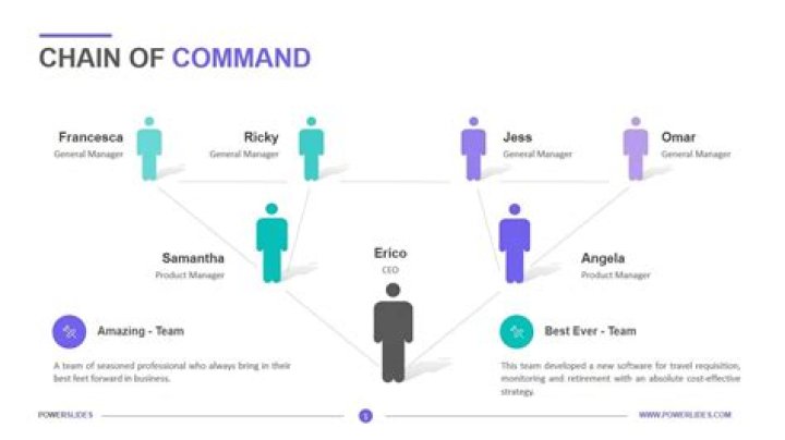 What are the chain of command in a company?