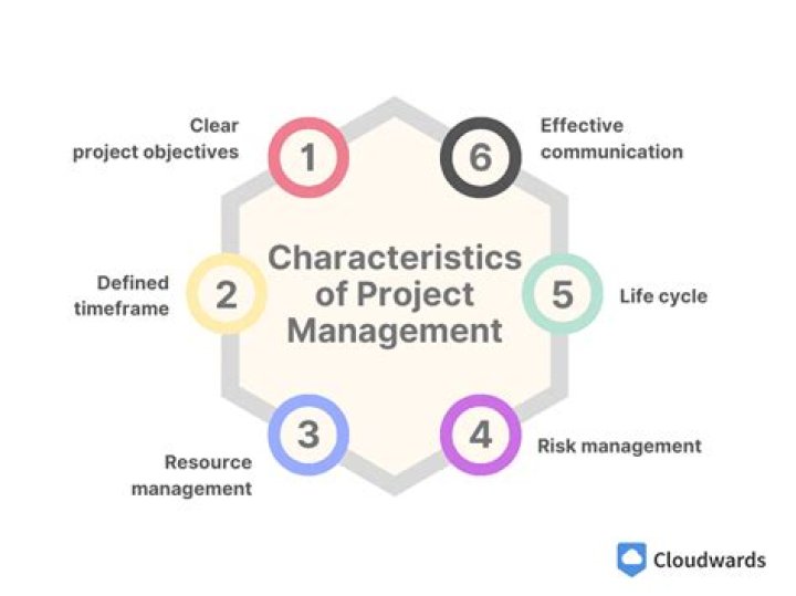 What are the characteristics of management account?