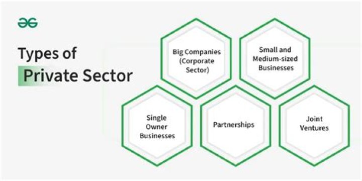 What are the characteristics of private sector enterprises?