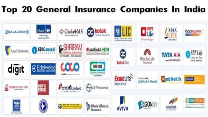 What are the companies doing life insurance business in India?