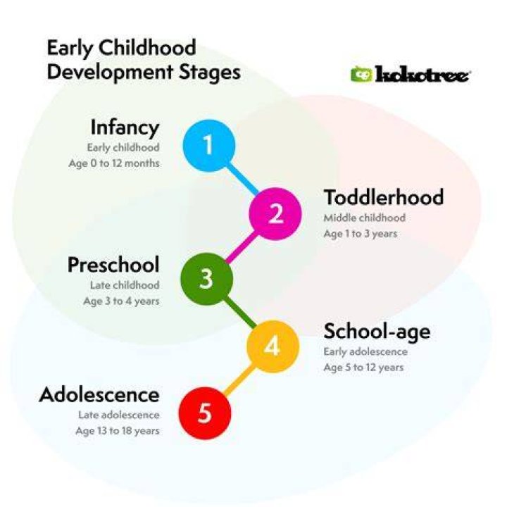 What are the different stages of stream development?