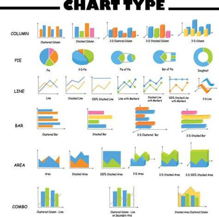 What are the different types of portfolios?