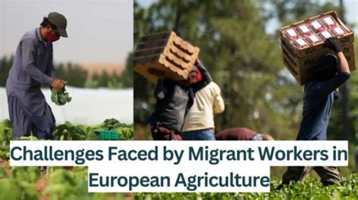 What are the difficulties faced by migrant workers?