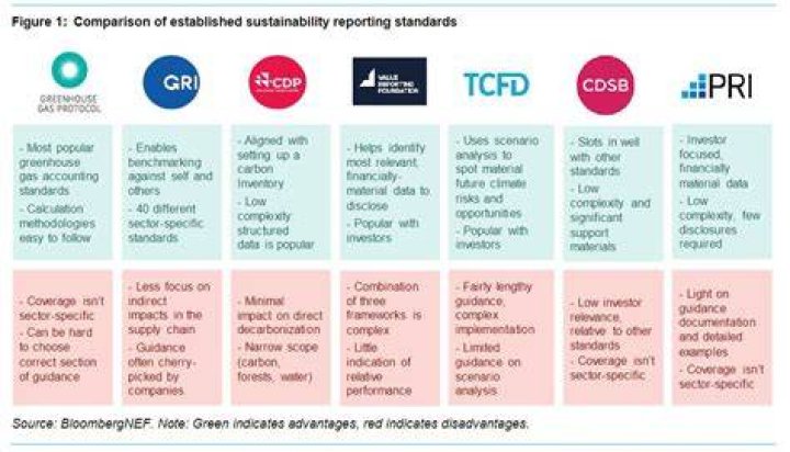 What are the disadvantages of following global accounting standards?