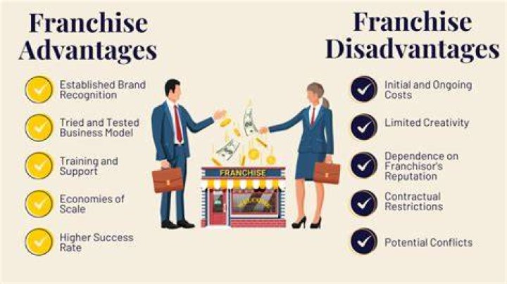 What are the disadvantages of franchise?