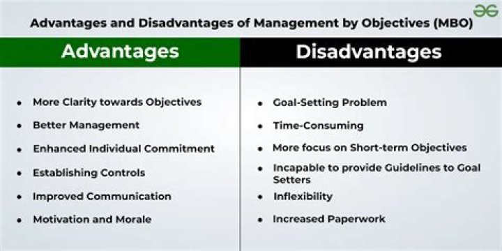 What are the disadvantages of management development?
