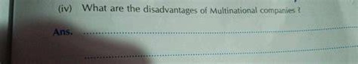 What are the disadvantages of multinational companies?
