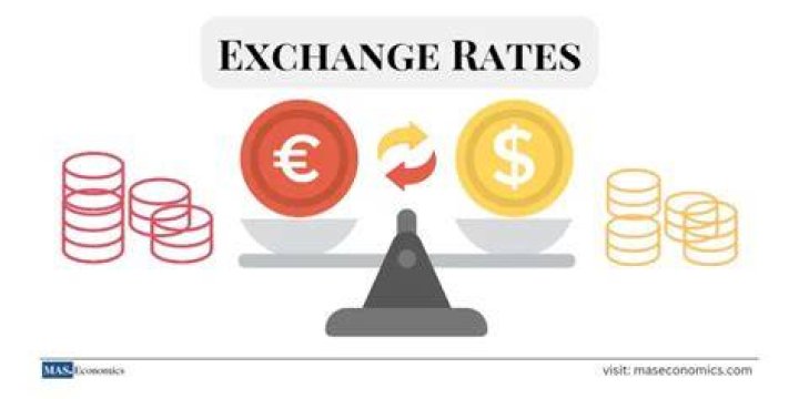 What are the effects of exchange rate fluctuations?