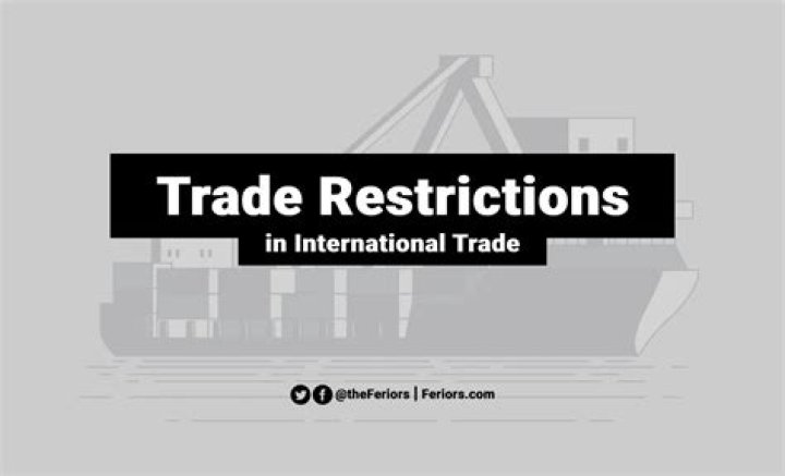 What are the effects of import restrictions on trade?