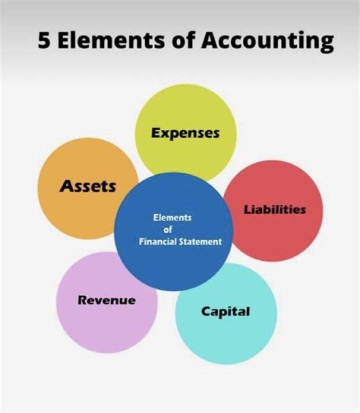 What are the elements of financial elements?