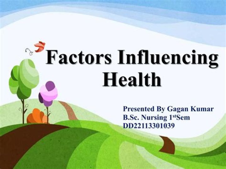 What are the factors influencing export?