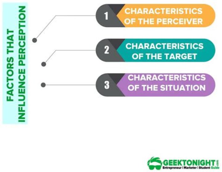 What are the factors that affect our perception?