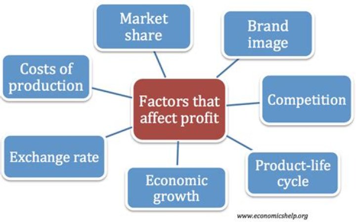 What are the factors that affect the profitability of small businesses?