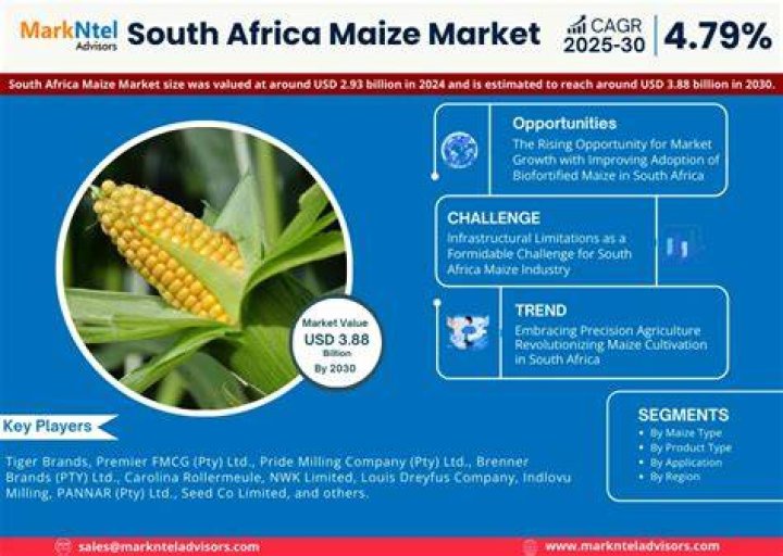 What are the factors that influence production of maize in South Africa?