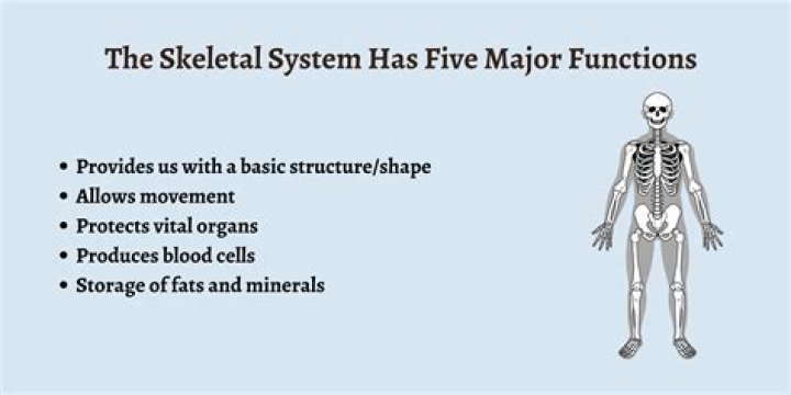 What are the five basic functions of a firm?