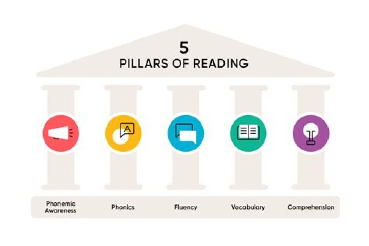 What are the five main branches of public finance?