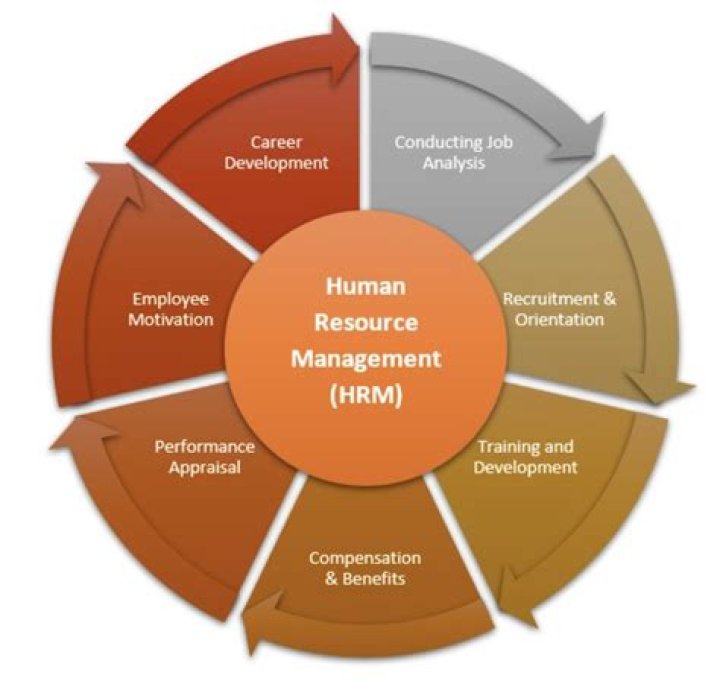 What are the five main tasks of a human resource manager?