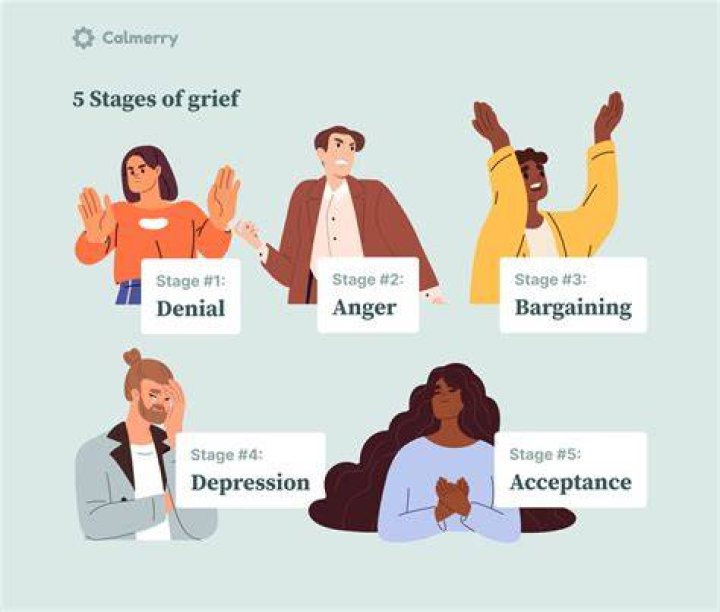 What are the five stages of photocopying?