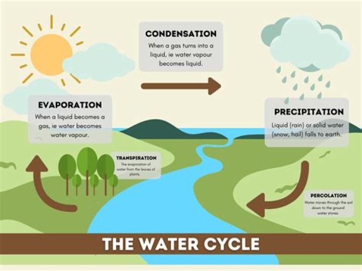 What are the five steps of the water cycle what happens in each step?