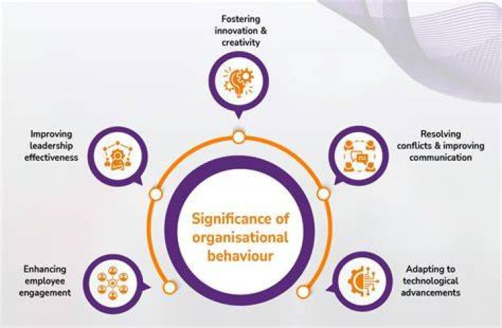 What are the forces affecting Organisational Behaviour?