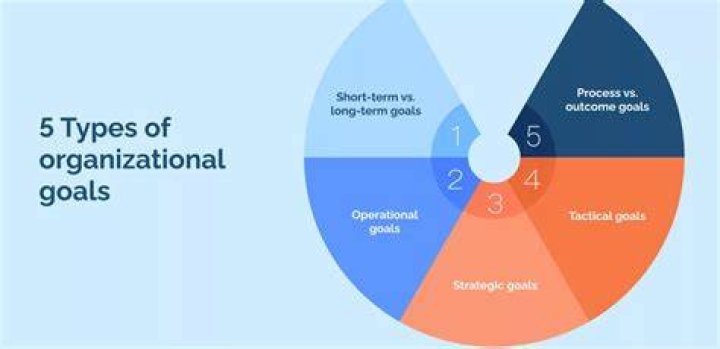 What are the goals of an organization?