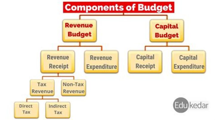 What are the important components of a budget?