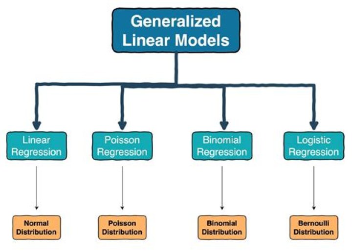 What are the linear programming models?