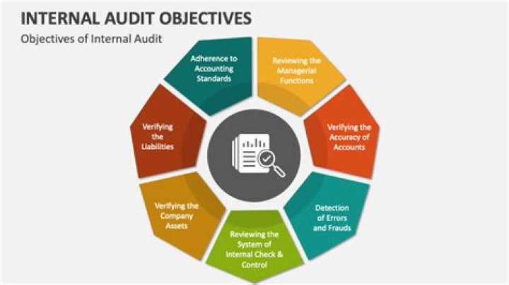 What are the main audit objectives?