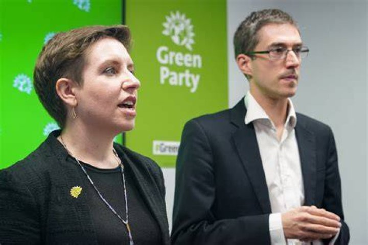 What are the main issues of the Green Party?