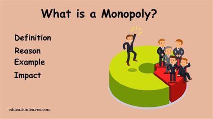 What are the main reasons for monopolies?