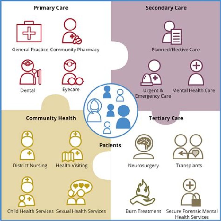 What are the main services provided within primary care?