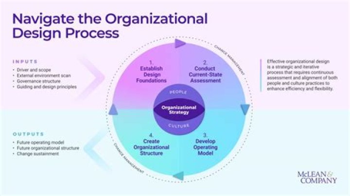 What are the models of organizational design?