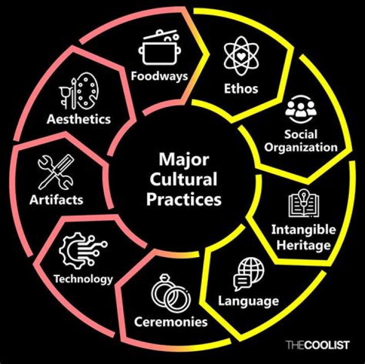 What are the principles and practices of diversity?