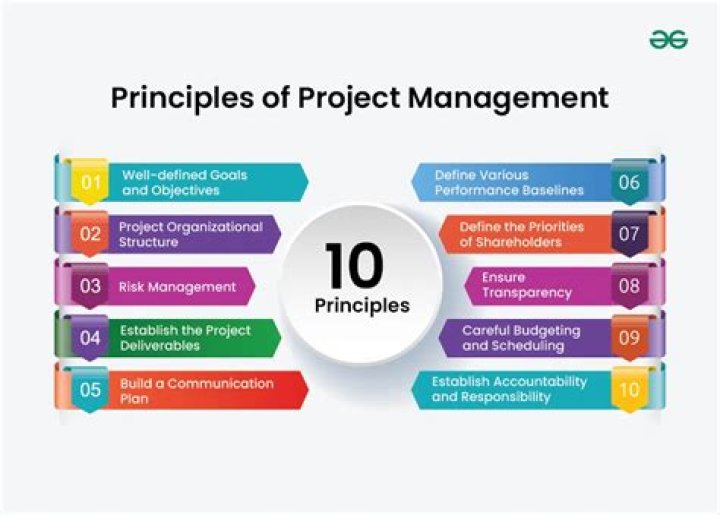 What are the principles of business organization?