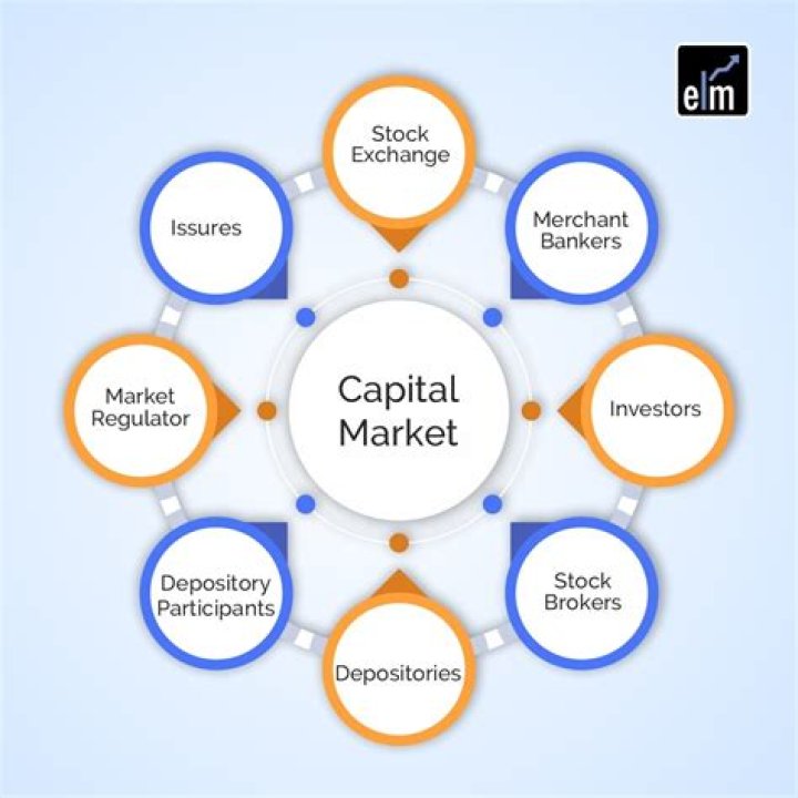 What are the problems of capital market?