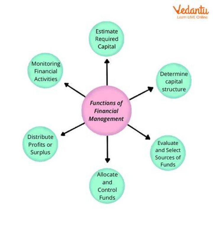 What are the problems of financial management?