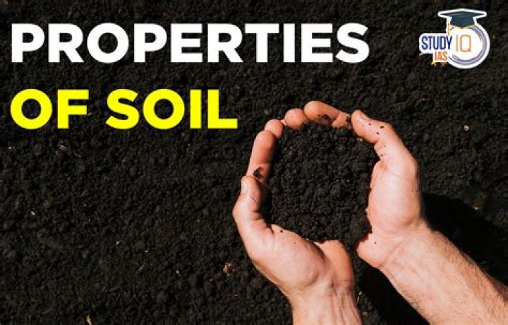 What are the properties of good money?