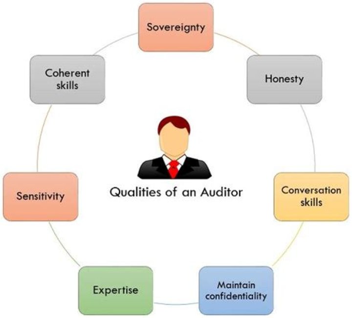 What are the qualities of an auditor should possess?