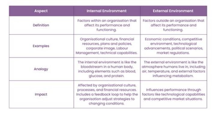 What are the relationship between internal and external environment?