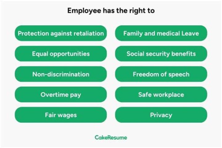 What are the rights of a contract employee?