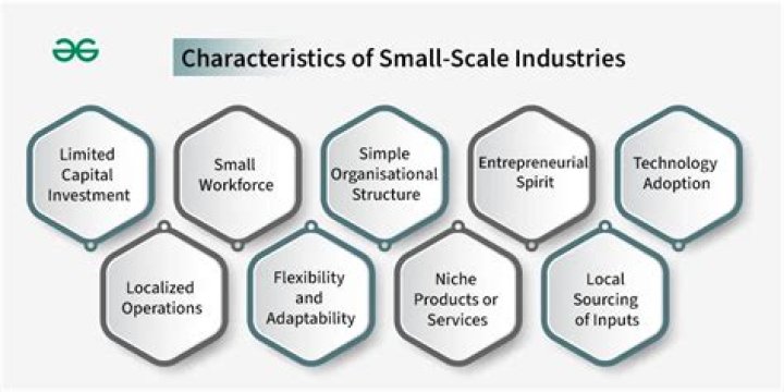 What are the roles of small scale industries?